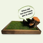 Chic Wooden Tray